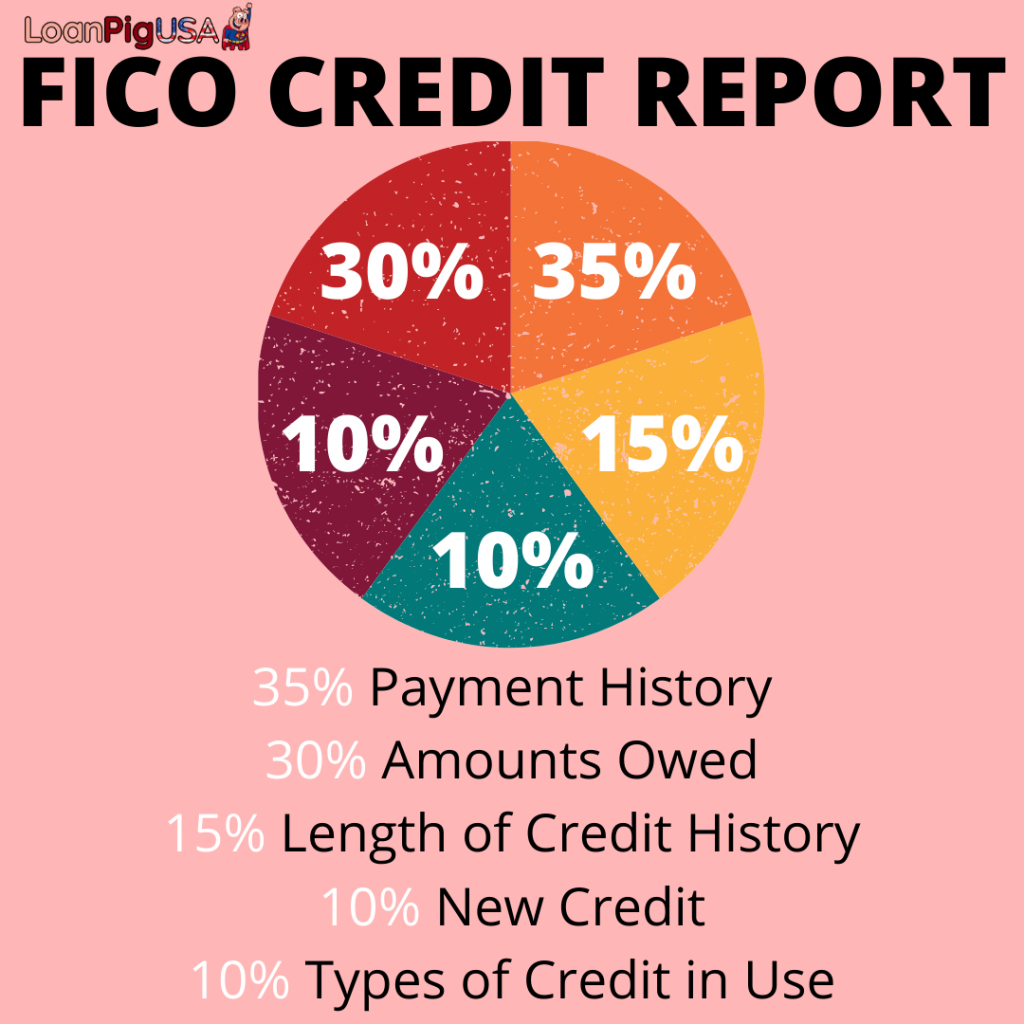 loanpigusa fico credit score showing all percentages